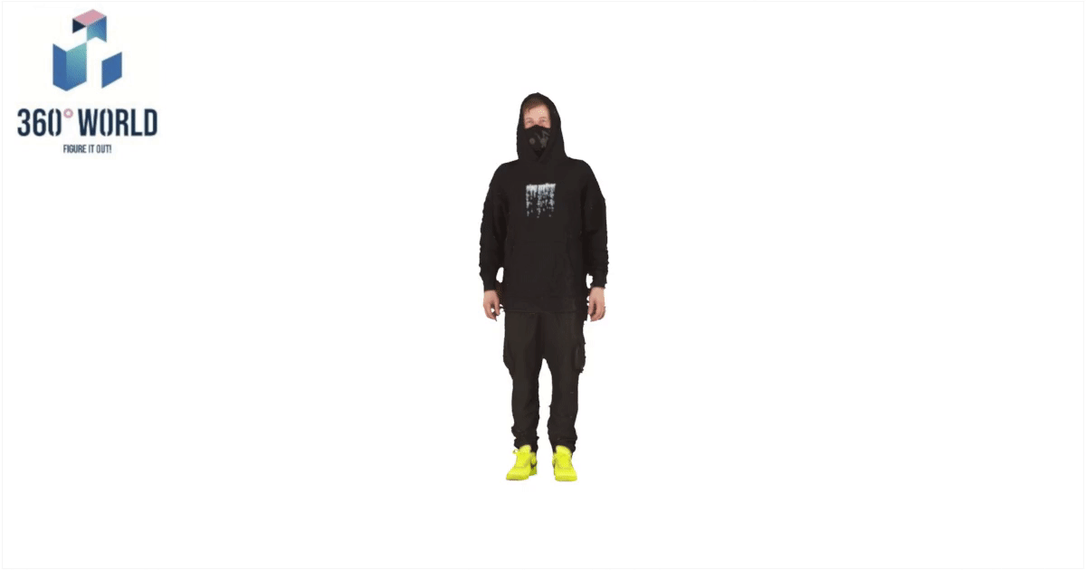 2938 - Alan Walker