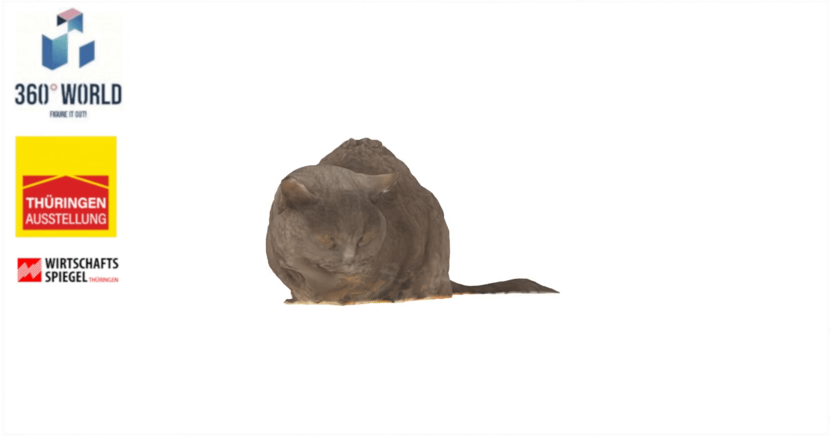 4539 - Kat