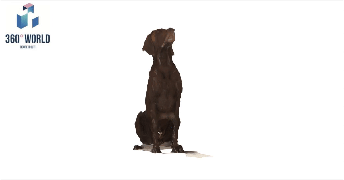 2410 - Hund