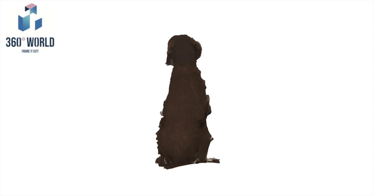 2397 - Hund