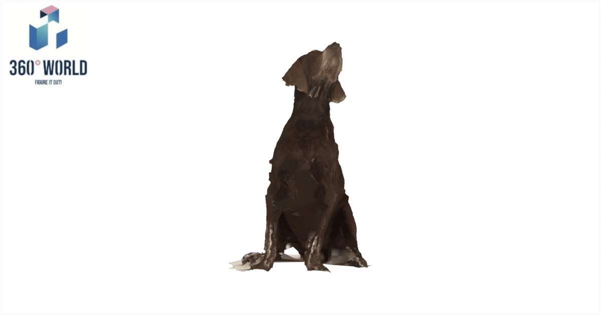2414 - Hund