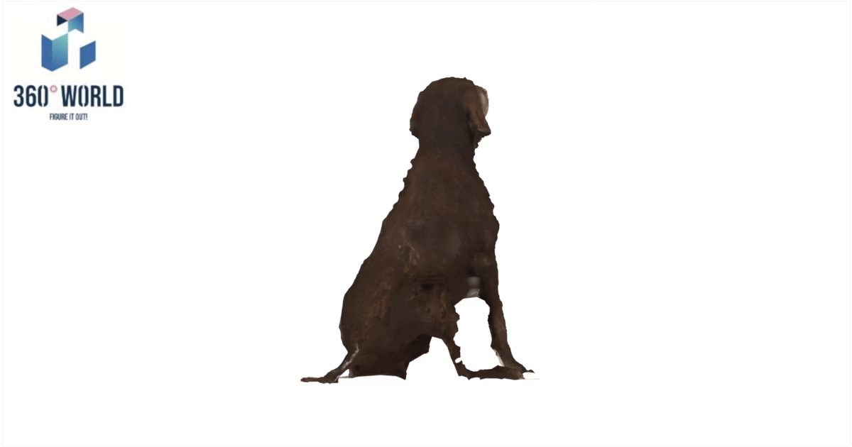 2399 - Hund_Alt