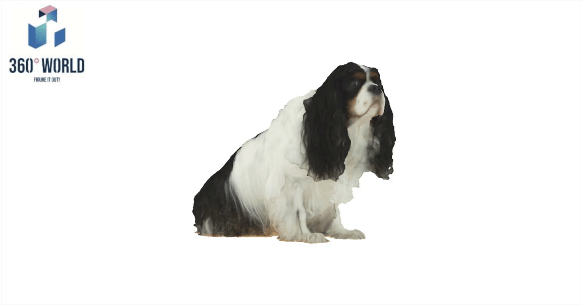 Vorzeigehund Luna